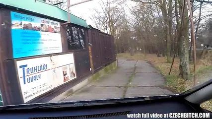 Брюнетка легкого поведения ублажает мужика по полной в его машине