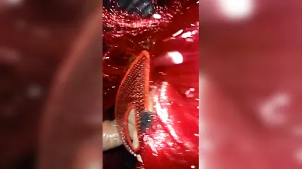 Надела ротиком презерватив на член и сосать взялась